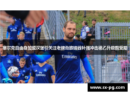 塞尔克自由身加盟汉堡引关注老牌劲旅锋线补强冲击德乙升级前受期