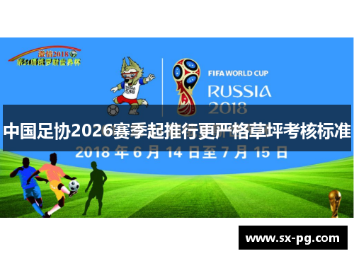 中国足协2026赛季起推行更严格草坪考核标准